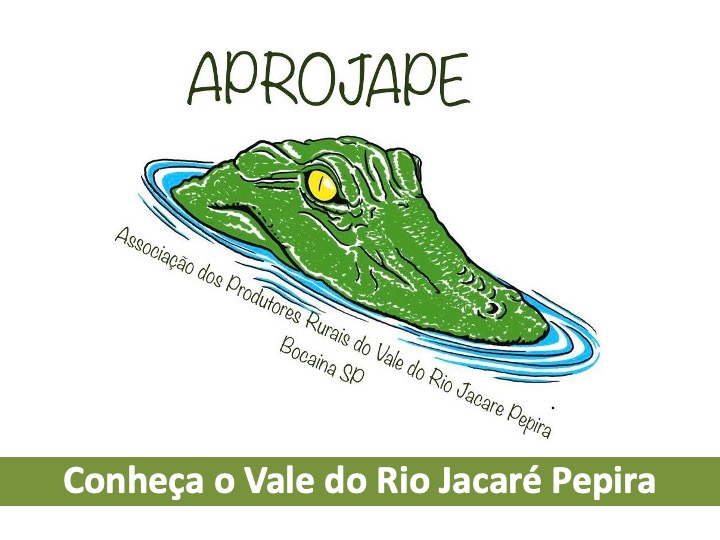 APROJAPE