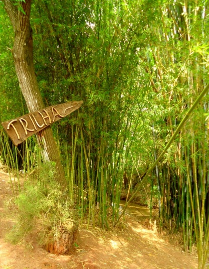 Cachoeira Babalim